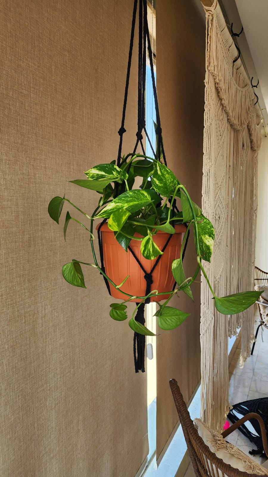 boho plant hanger, black macrame plant holder, indoor plant decor, outdoor hanging planter, modern boho home accessories, handmade plant hanger, balcony decor, minimalist plant display.