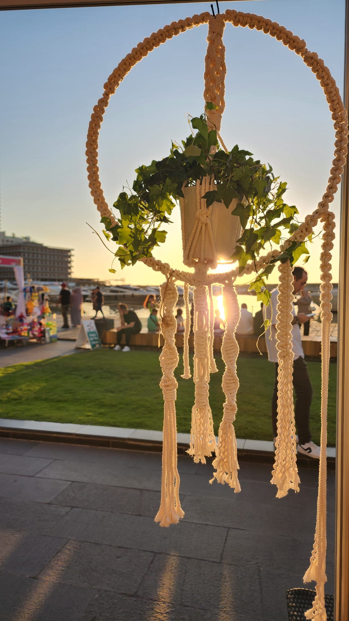 Summer Sun Catcher Plant Hanger