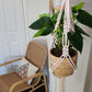 Macrame Plant Hanger