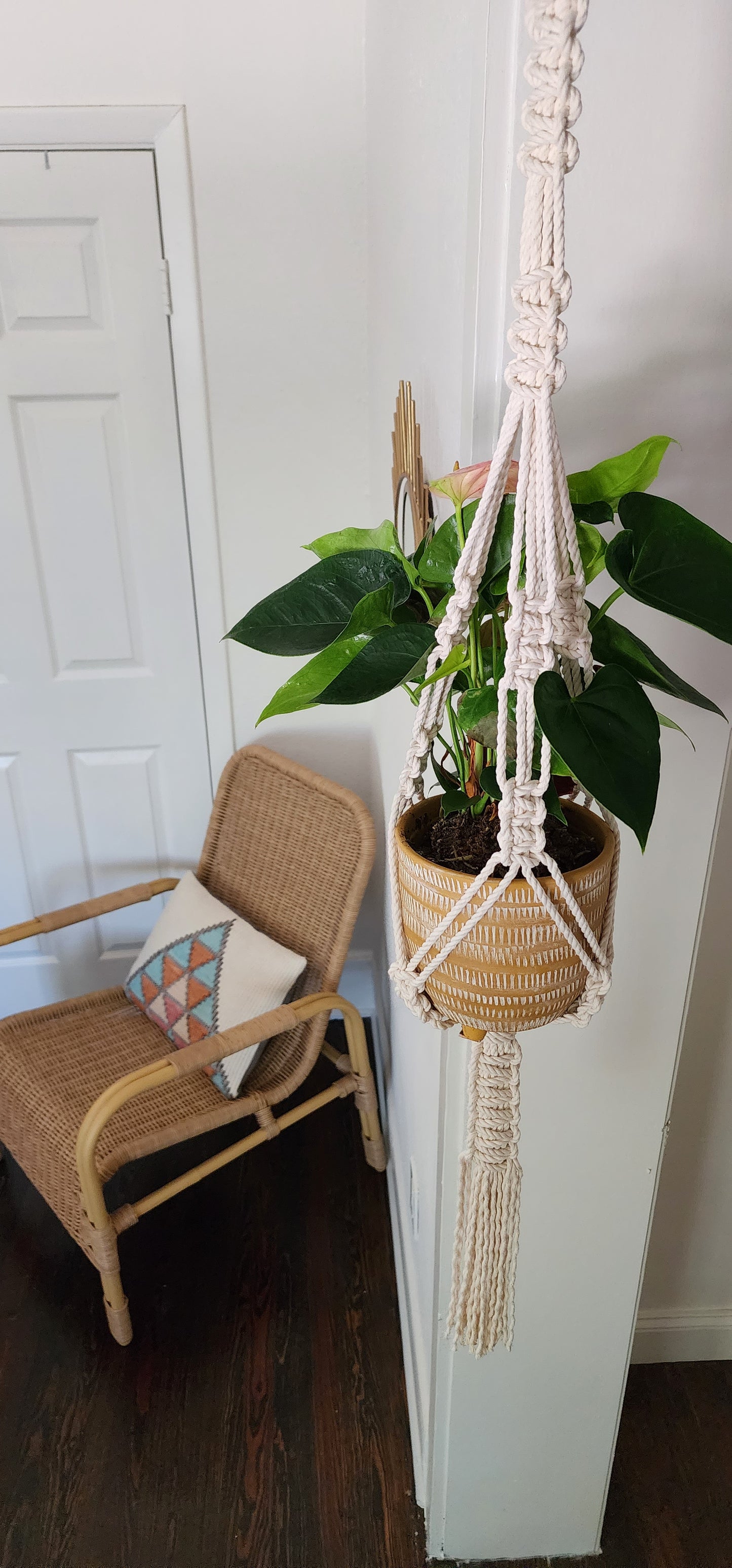 Macrame Plant Hanger