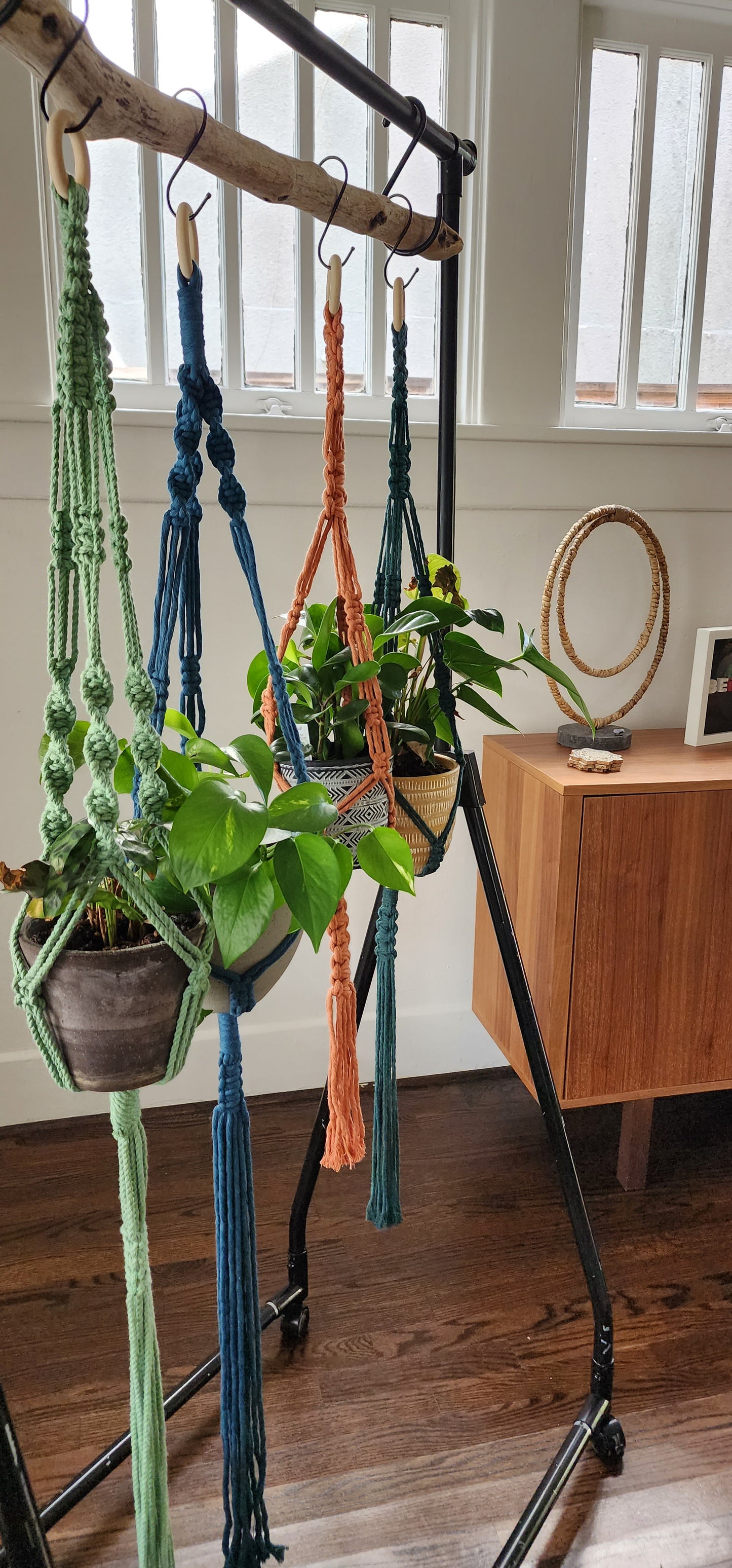 Macrame Plant Hanger