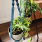 Macrame Plant Hanger