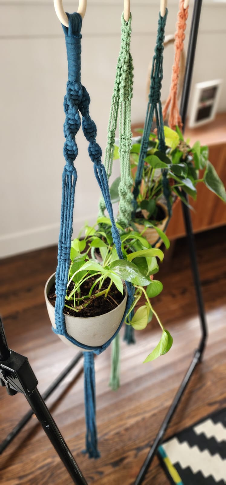 Macrame Plant Hanger