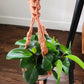 Macrame Plant Hanger