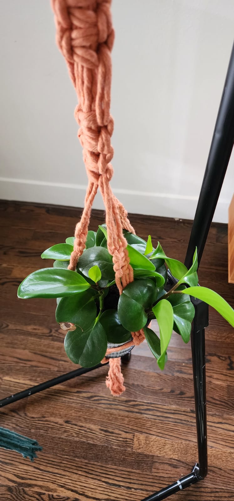 Macrame Plant Hanger