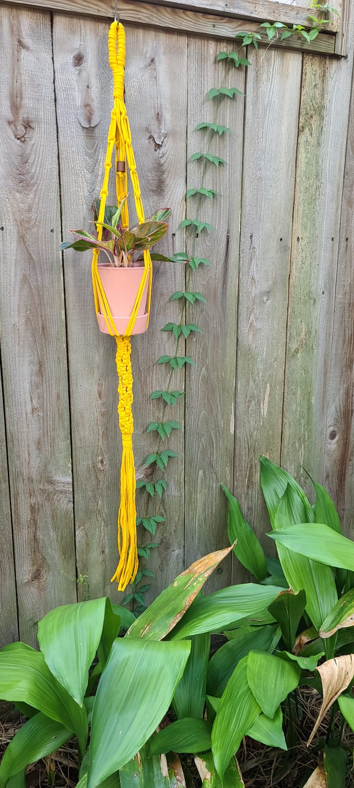 Macrame Plant Hanger