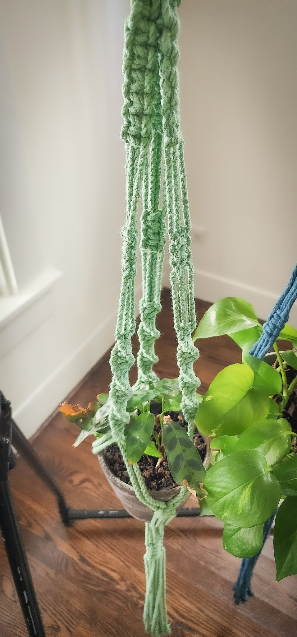 Macrame Plant Hanger